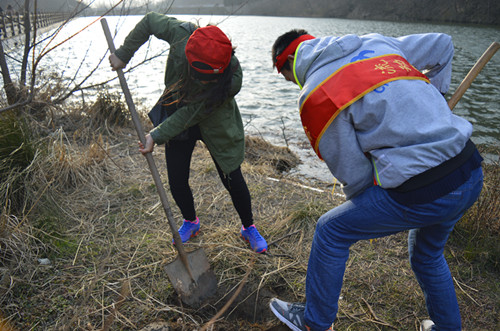 伟德BV官网开展义务植树活动