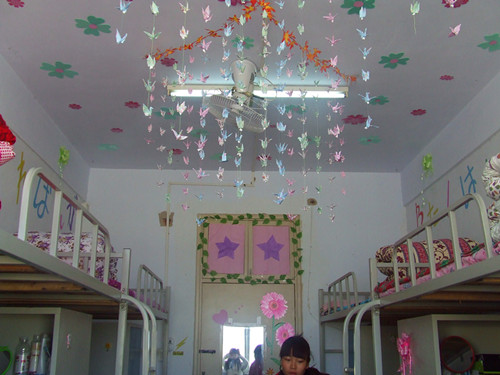 伟德BV官网开展“绿色家园”寝室评比活动