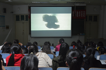 伟德BV官网开展经典影片观摩活动