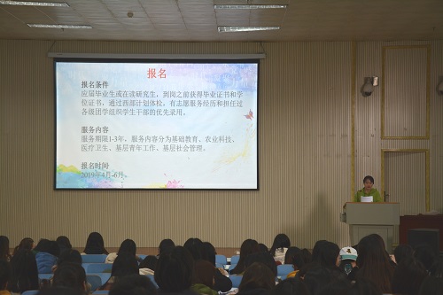 伟德BV官网召开2019届毕业生就业指导会